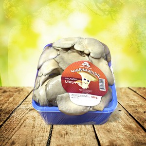 Կախասունկ